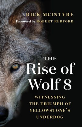 The Rise of Wolf 8 preview image