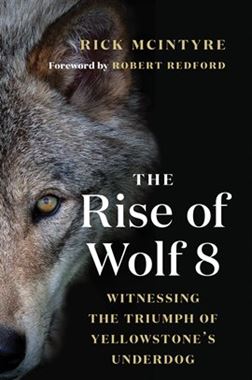 The Rise of Wolf 8 preview image