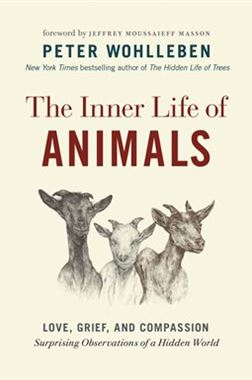 The Inner Life of Animals preview image