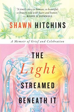The Light Streamed Beneath It preview image