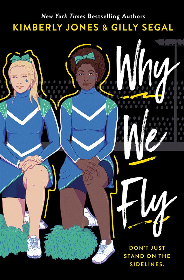 Why We Fly preview image