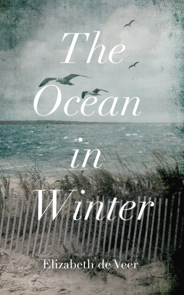 The Ocean in Winter preview image