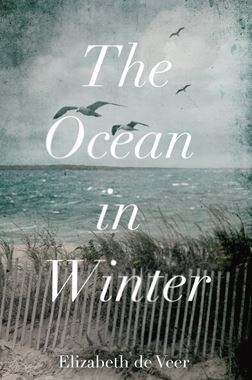The Ocean in Winter preview image
